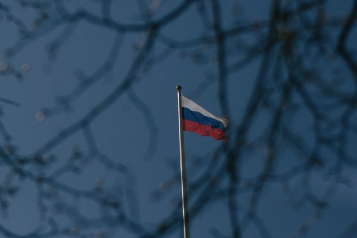 Hvad betyder sanktionerne mod Rusland for jeres virksomhed?