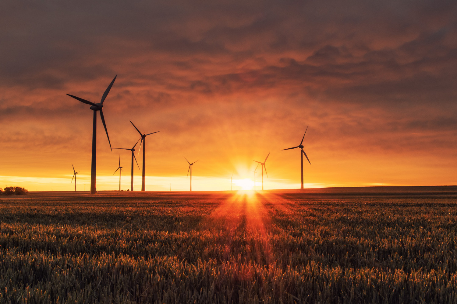 Nødforordning til acceleration af vedvarende energiprojekter på vej