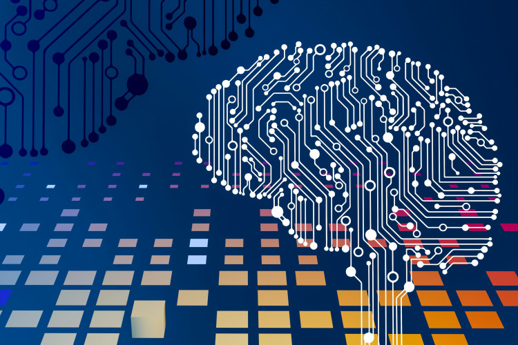 Datatilsynet og Digitaliseringsstyrelsen etablerer AI-sandkasse
