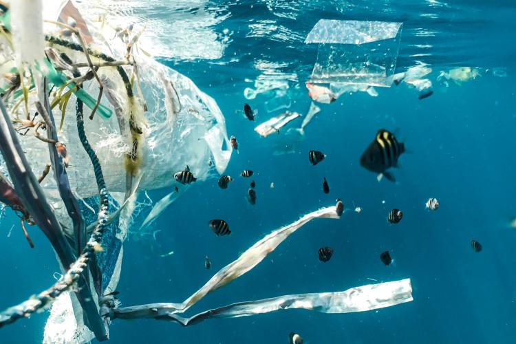 Ikke tilstrækkelig dokumentation for at markedsføre briller som fremstillet af plastaffald fra havet