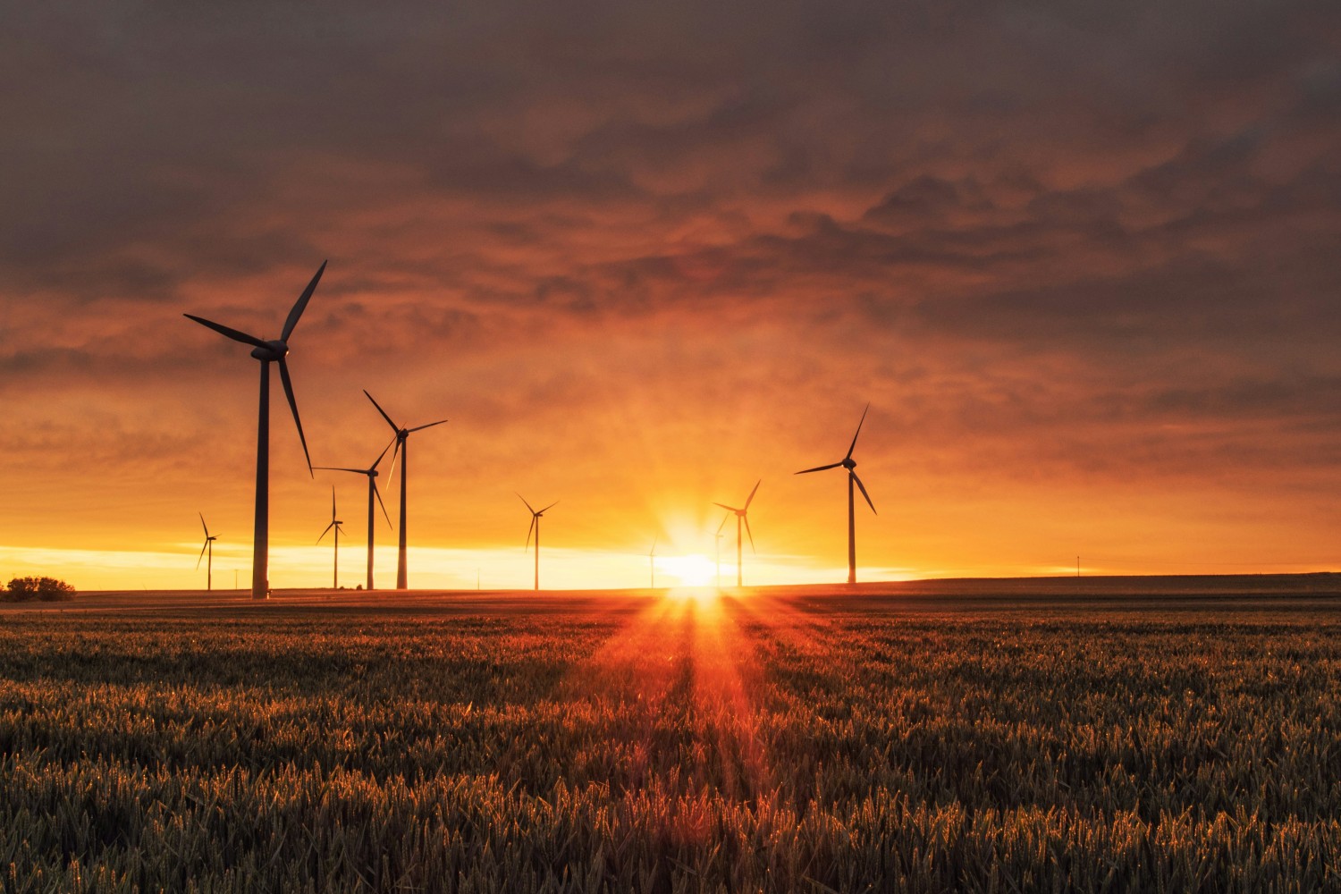 Energinet lemper kravene til kapacitetssalg for brint: Sidste chance for at indsende input til vilkårene
