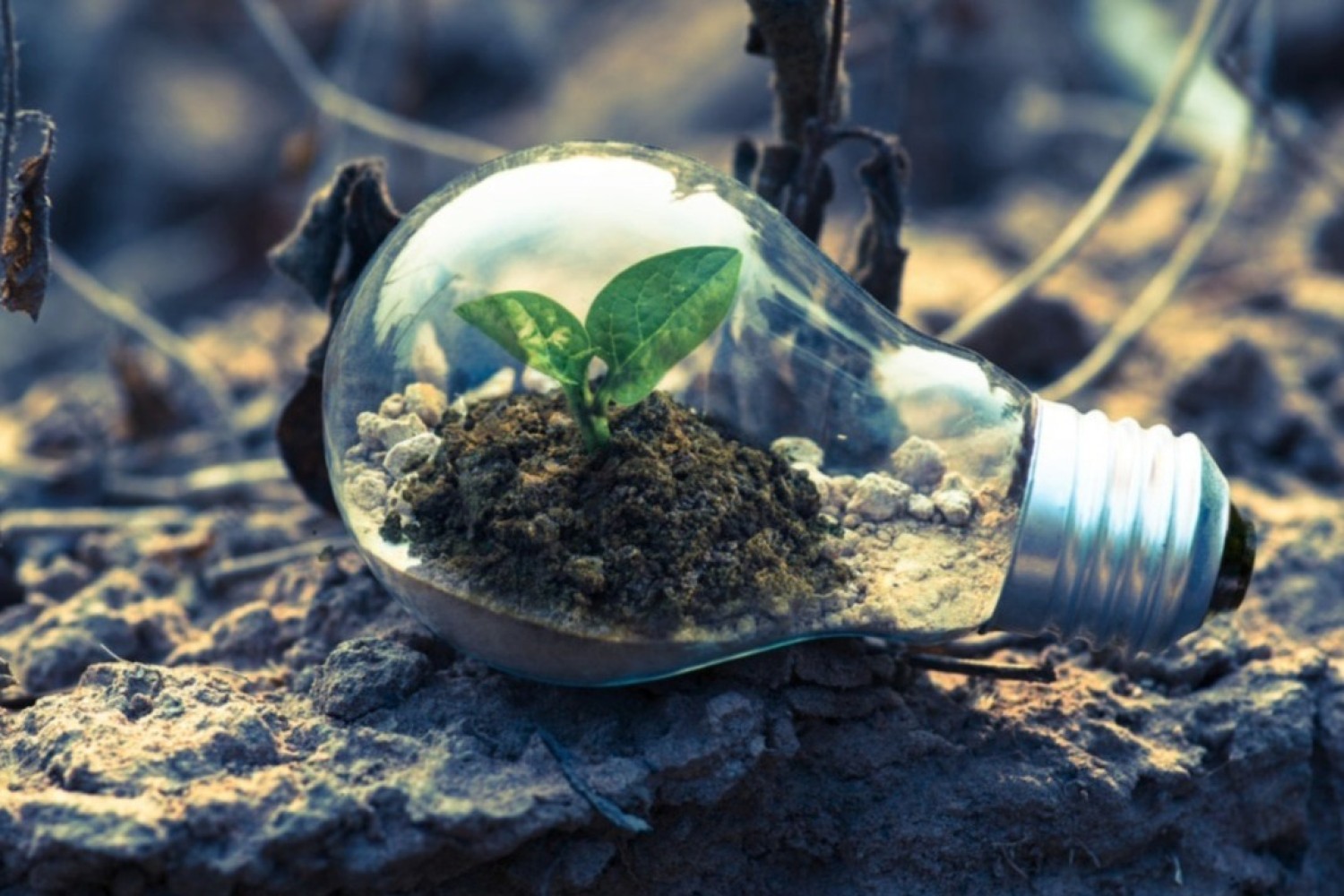 Stor koncern politianmeldt for greenwashing: Hvad kan du lære om bæredygtighedskommunikation fra sagen?