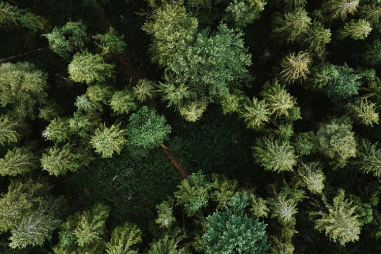 Lov om fremme af projekter om CO2-fangst, -rørtransport og -lagring er vedtaget