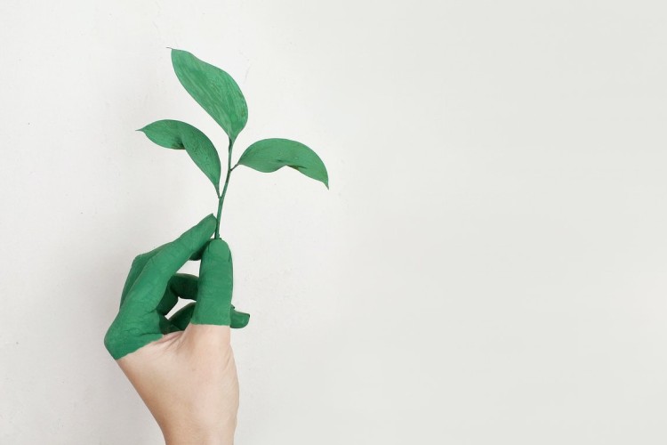 Undgå Greenwashing - Miljø- og etikmarkedsføring